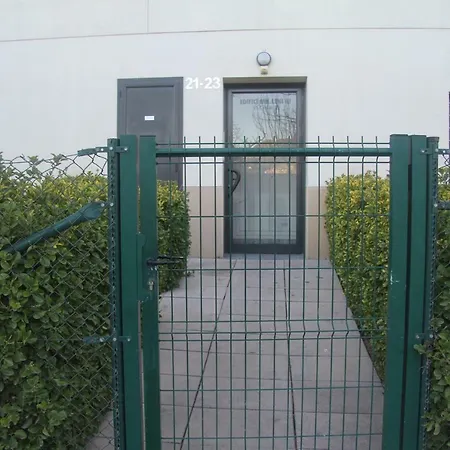 Milleni 3222 * Roses